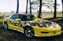 1994 Pontiac Trans AM GT, custom flame paint job, nice