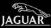 Jaguar Logo