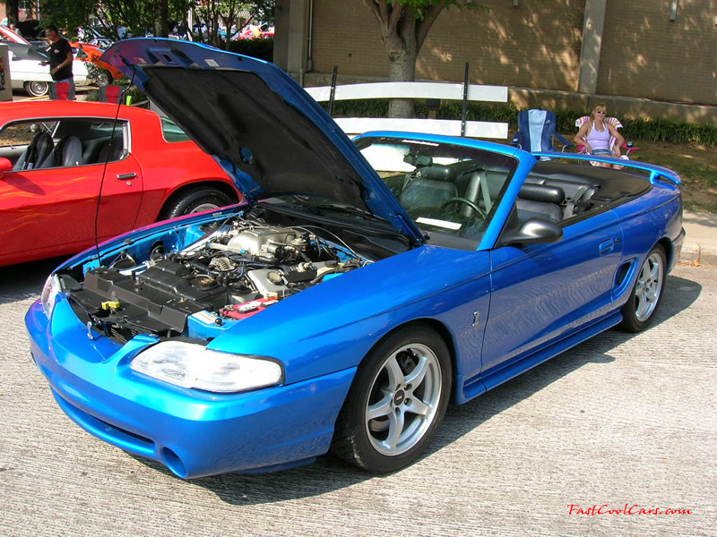 Cleveland, Tennessee Cruise-in August 28, 2005 - 1998 Cobra Convertible, 1 of 223 produced.