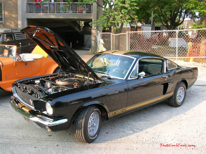 Cleveland, Tennessee Cruise-in August 28, 2005 - Classic Ford Mustang fastback GT350 H