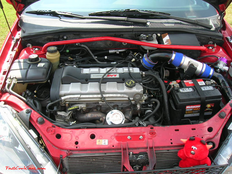 Nopi Nationals - Motorsports Supershow 2005, Ford SVT