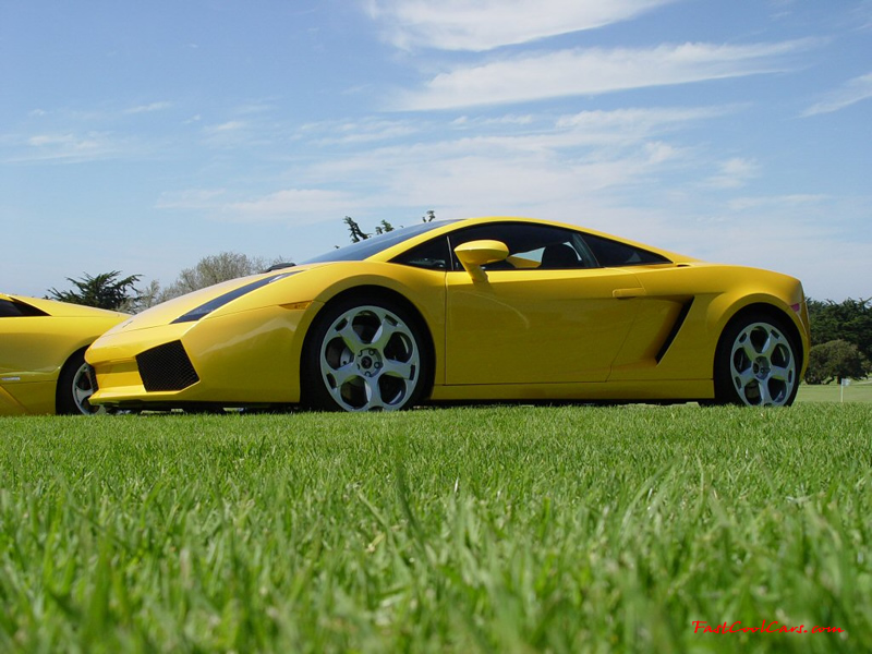 Exotic cars on fast cool cars - High performance at its best, money and horsepower.