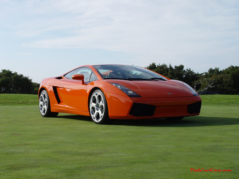 Exotic cars on fast cool cars - High performance at its best, money and horsepower.