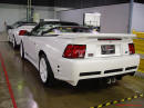 Exotic cars on fast cool cars - High performance at its best, money and horsepower. Convertible Saleen Mustang