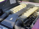 Exotic cars on fast cool cars - High performance at its best, money and horsepower. Purple Lamborghini