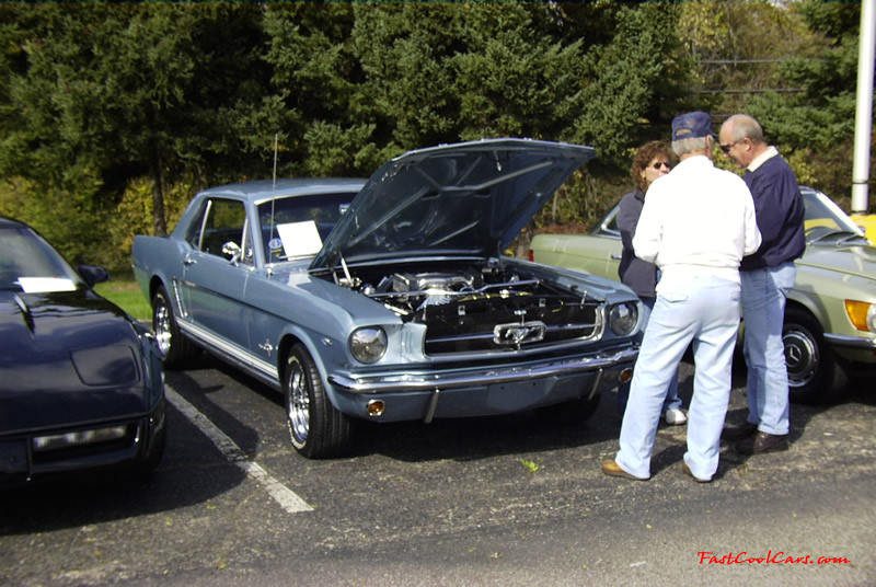 Ford Mustang on fast cool cars free wallpaper section