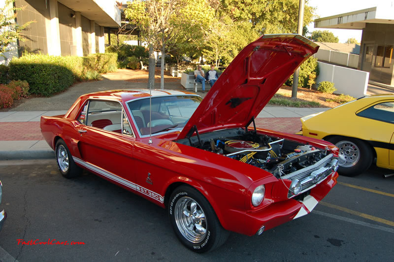 Dalton, GA - Cruise in, car show, Fast Cool Cars here on October 14 - Gt 350 Ford Mustang